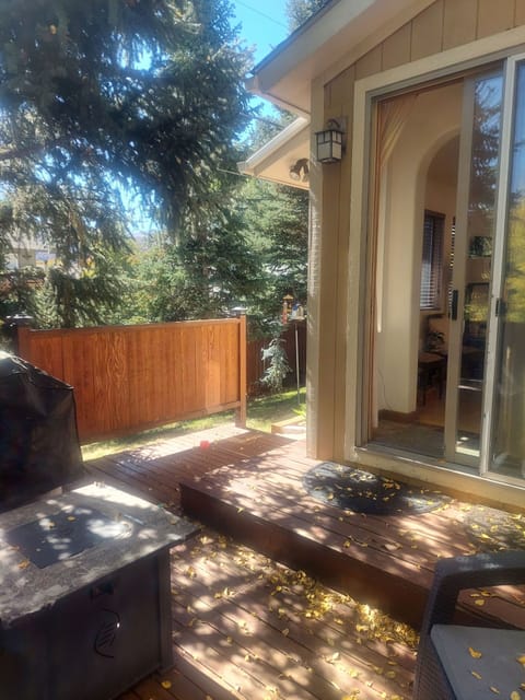 East wing patio/yard with seating area and gas grill and utencils