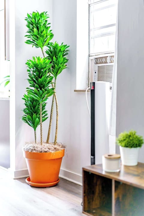 jungle-themed living room where indoor plants meet high-end fixtures brings the outdoors in for a fresh, cozy vibe