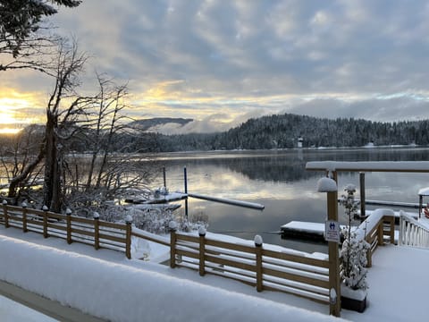 a snowy day winter 2022
