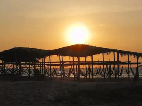 Sun loungers, beach towels