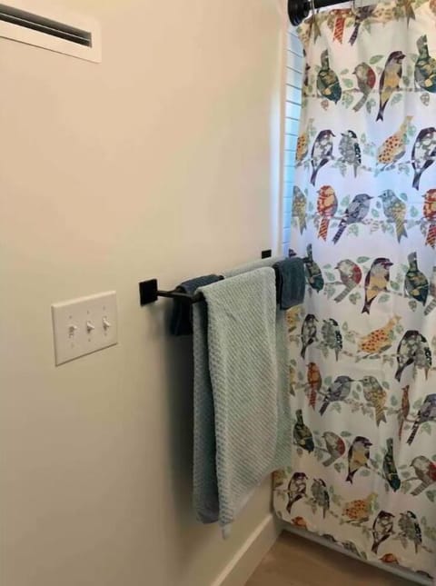 Hair dryer, towels, toilet paper