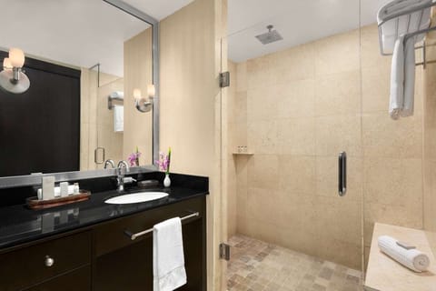 Combined shower/tub, hair dryer, towels