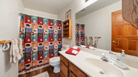 Combined shower/tub, hair dryer, towels, toilet paper