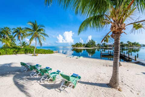 Sun loungers, beach towels