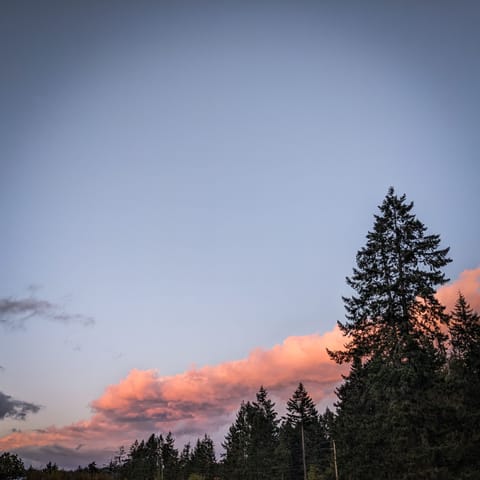 Sunsets on the farm are spectacular, no matter the season.