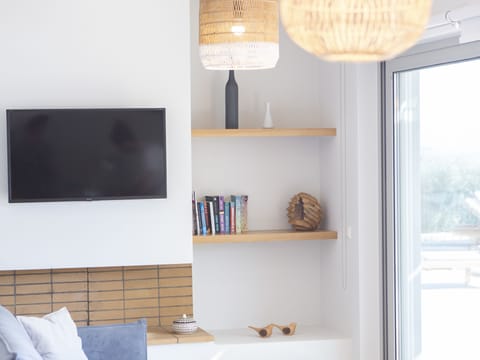 TV, fireplace, books, stereo