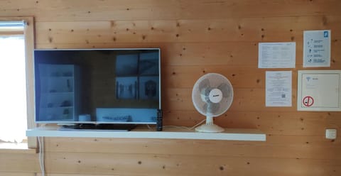 Television