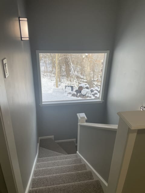 Stairs to basement from kitchen with beautiful view of forest behind house.  