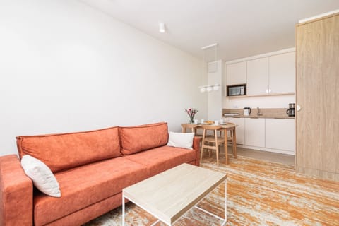 Living room with functional kitchenette and orange sofa.