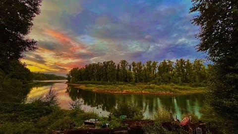 Unfiltered View; Mother's Palette