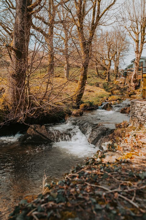 Mill Cottage - Local Area