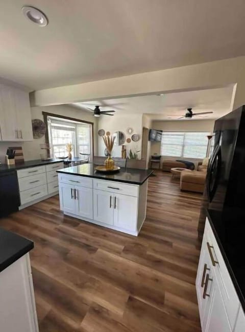 Open concept living room and kitchen