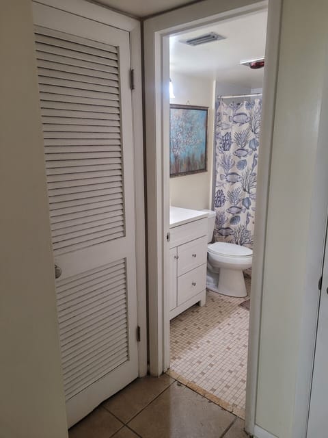 Combined shower/tub, hair dryer, towels, soap