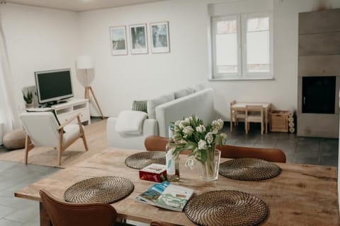 TV, fireplace, books