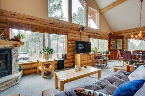 TV, fireplace, books