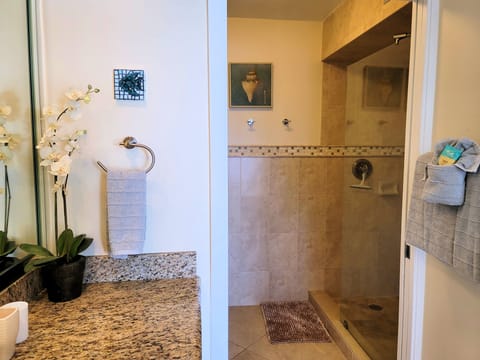 Combined shower/tub, hair dryer, towels