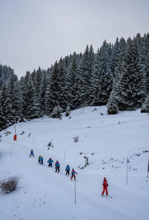 Snow and ski sports