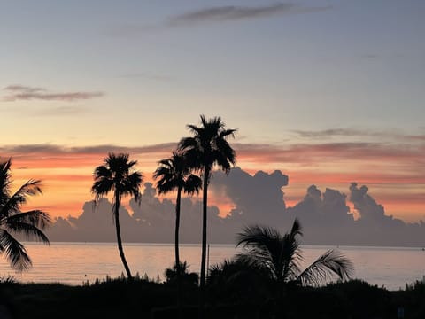 Beach/ocean view