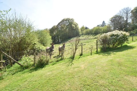 Immediate Surroundings [summer] (&lt;1 km)