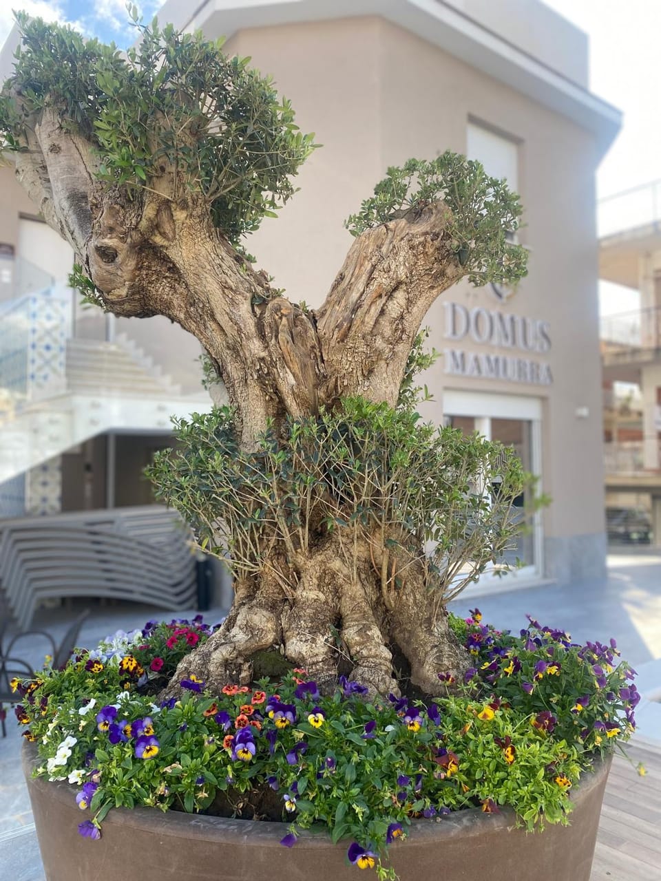 Conference on Retroviruses and Opportunistic Infections, image size:960x1280