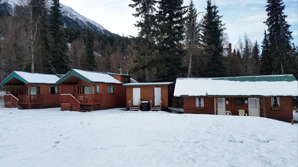 Delightful Log Cabin for a Serene - 9b0b1c 