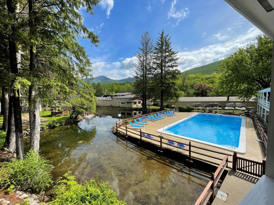 Pool view, Swimming pool