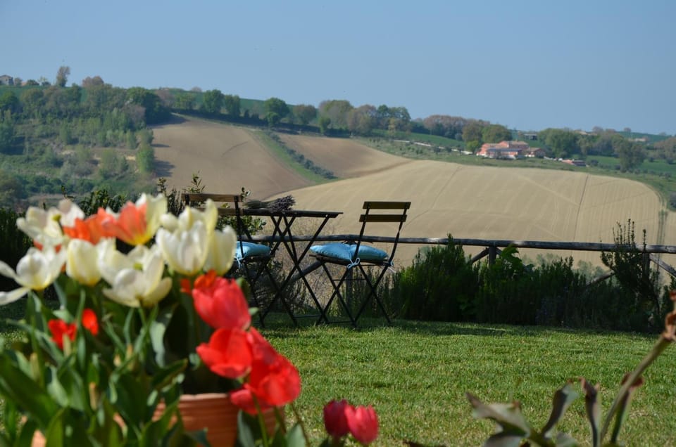 Spring, Garden view, Mountain view