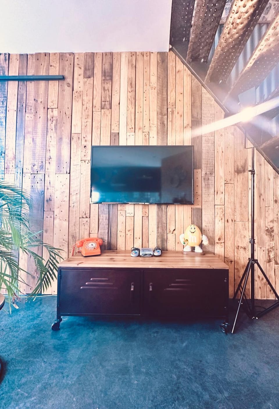 TV and multimedia