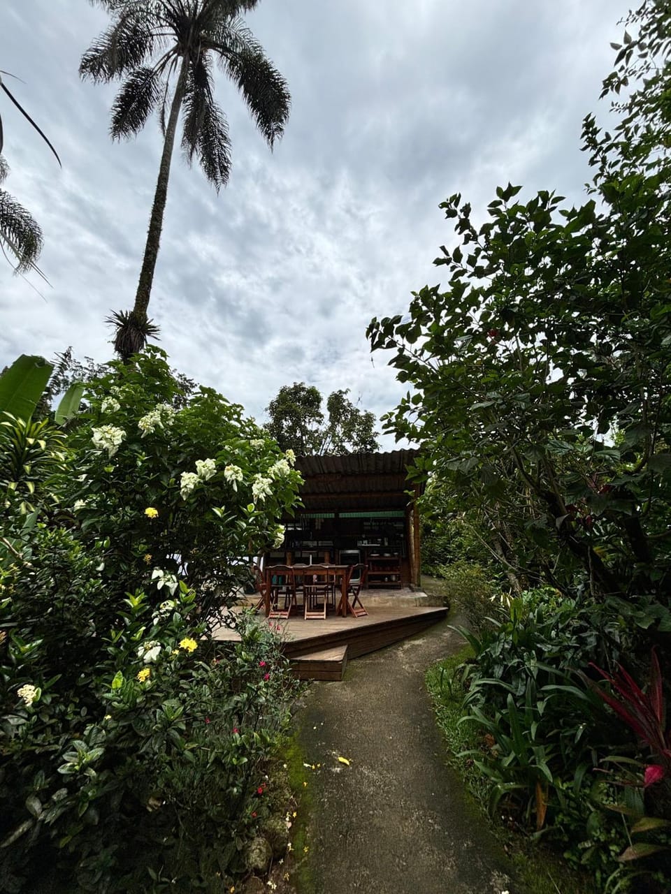 Casa Araribá - Ilha Grande - Vila do Abraão Bed and breakfast in Angra dos Reis, State of Rio de Janeiro, Brasile
