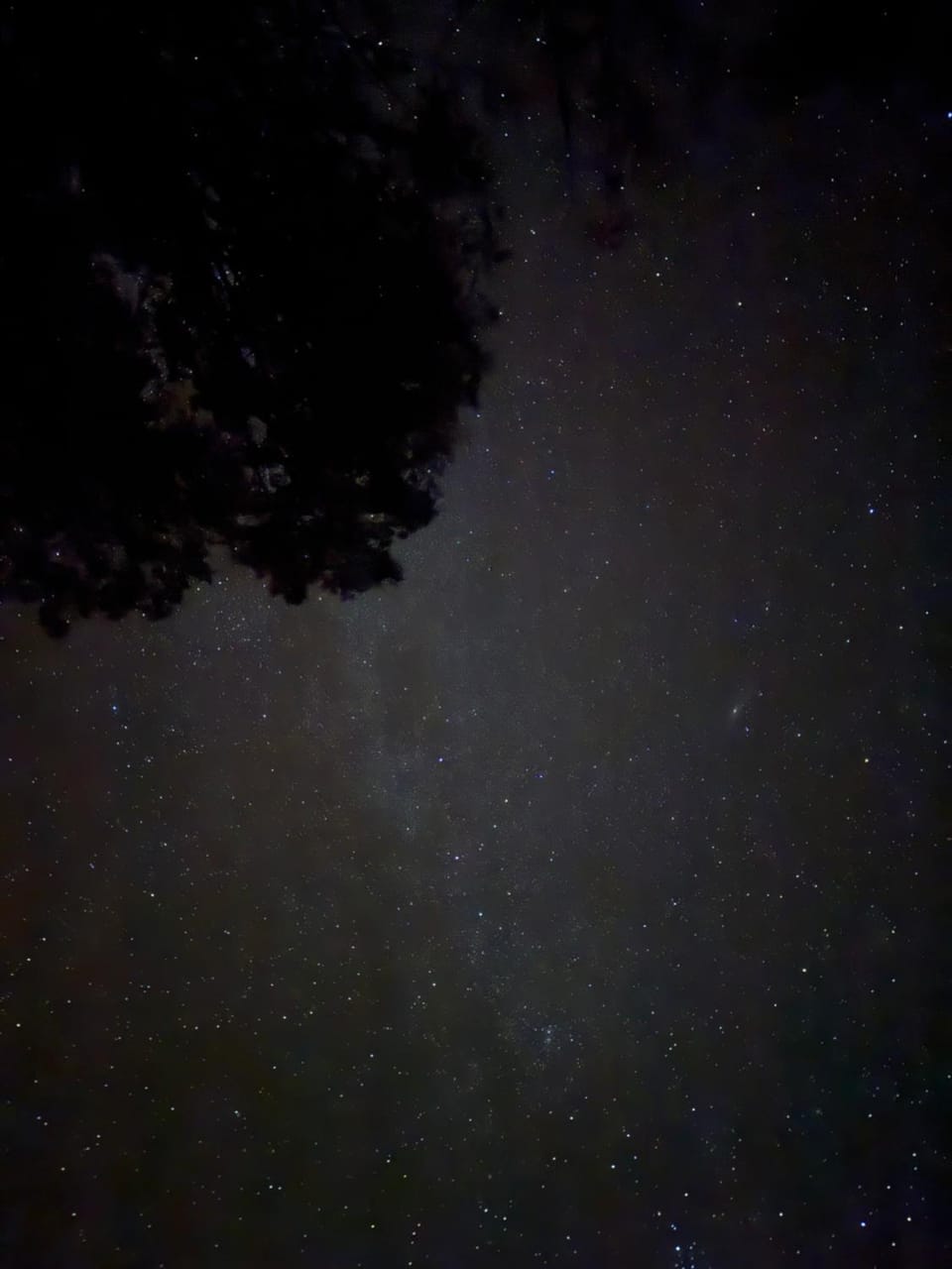 Night
