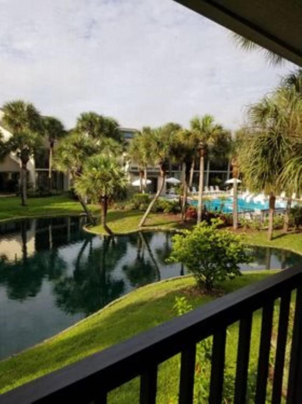 Natural landscape, Garden view