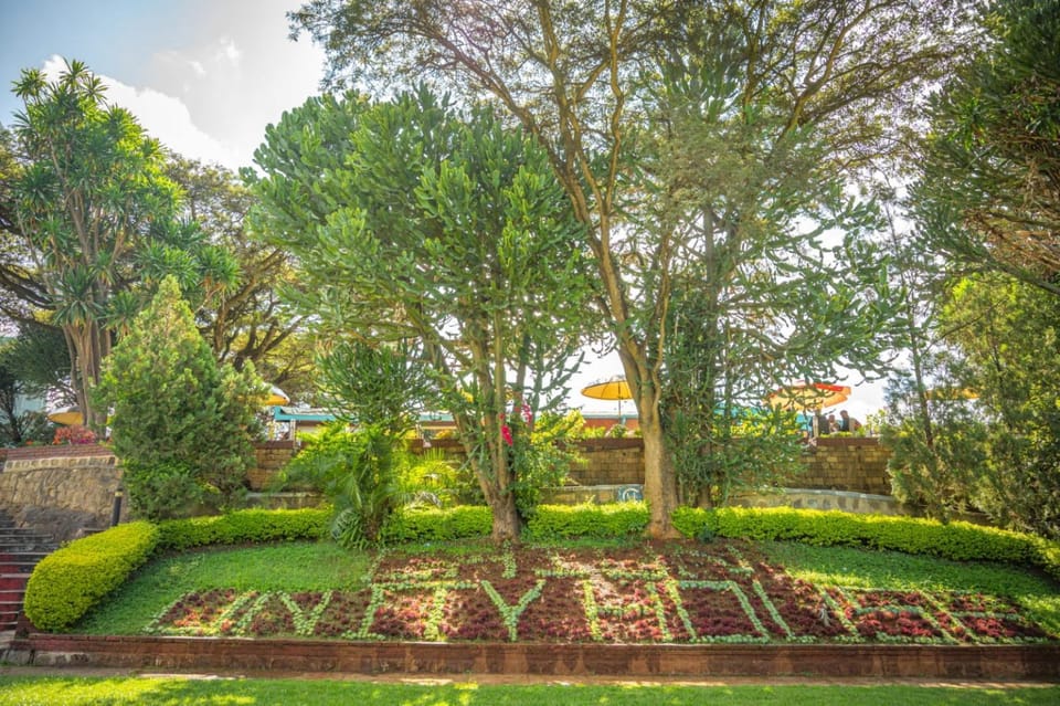 Garden