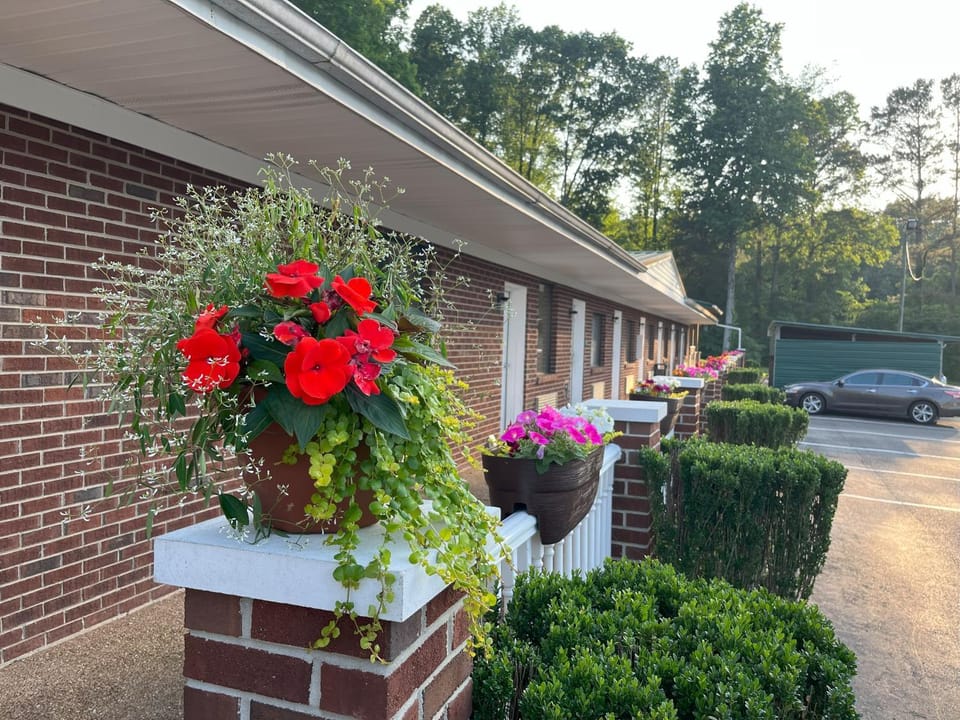 Property building, Garden, Garden view
