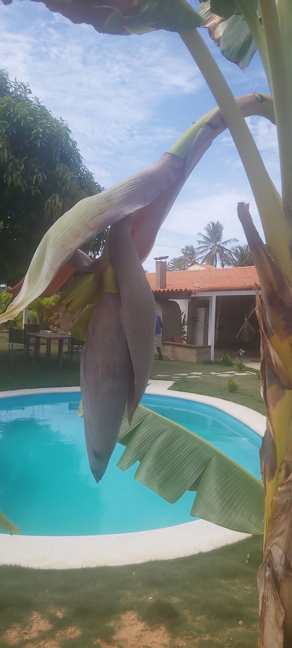 Casa Caraibe Playa el Agua Vacances Inoubliable au Soleil | Venezuela ...