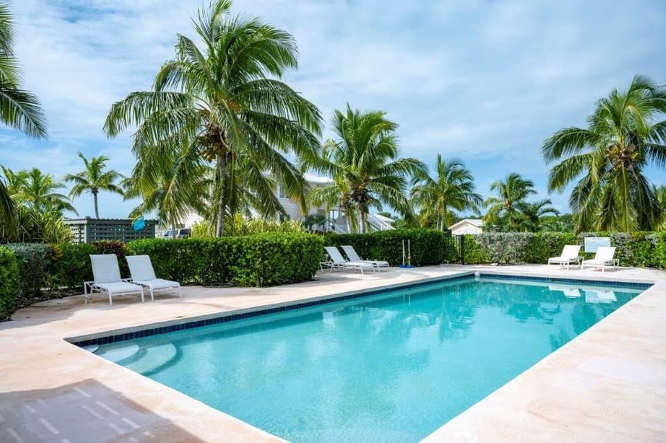Our heated 40' x 20' pool