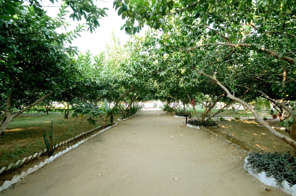 Bagh Dera Camp | Rajasthan | VacationRenter