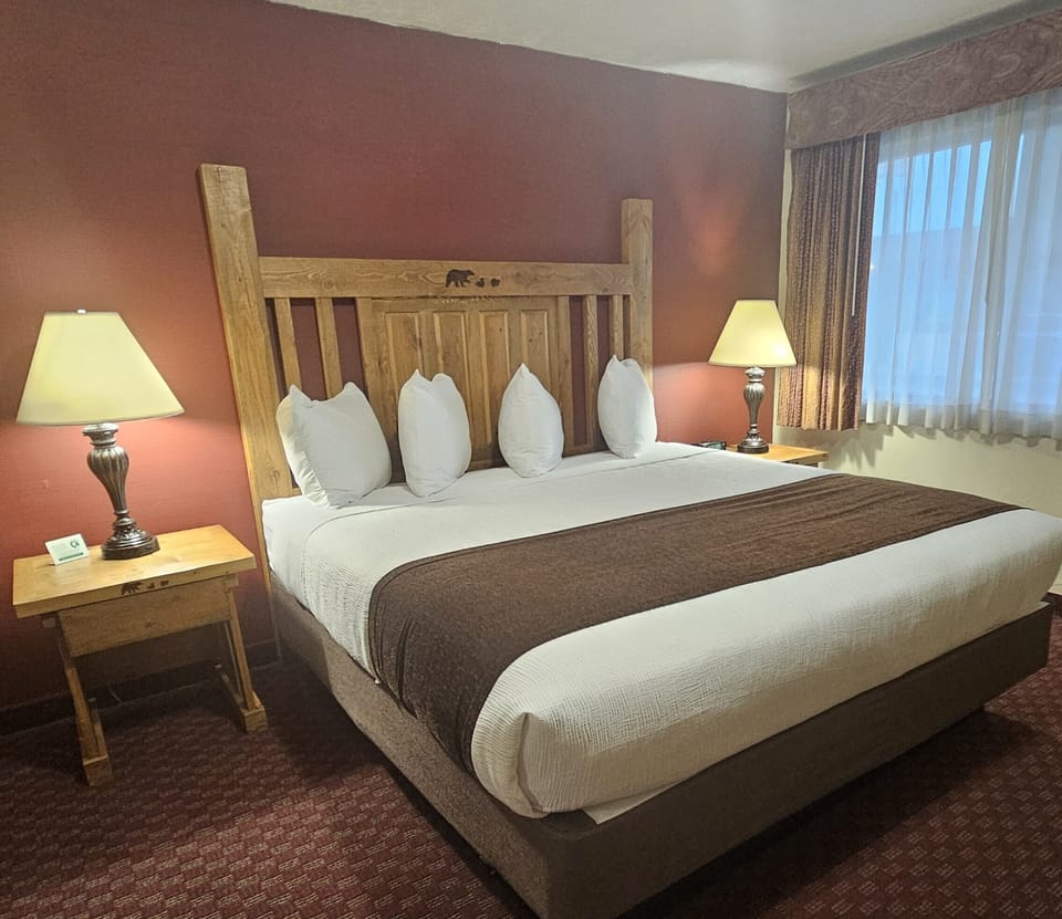 Standard Room | Desk, iron/ironing board, WiFi (free), alarm clocks
