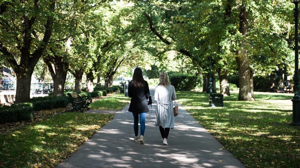 Rosalind Park - 100 metres away