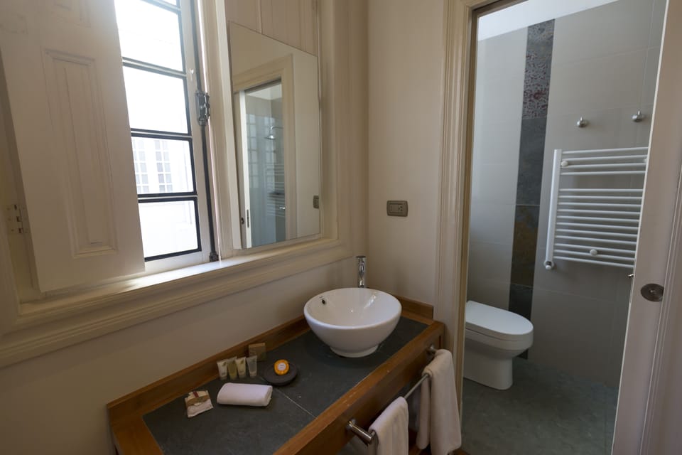 Superior Double Room | Bathroom | Shower, free toiletries, hair dryer (on request), towels