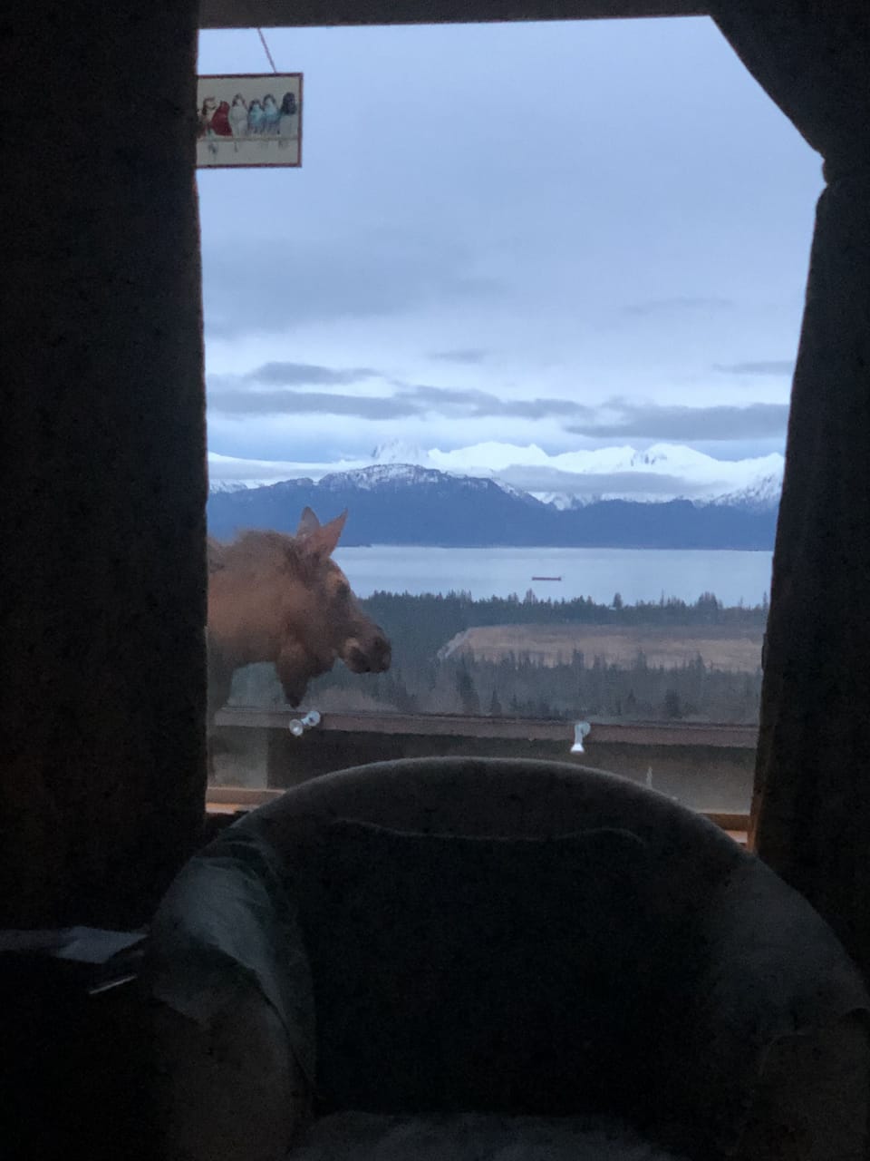 Game viewing