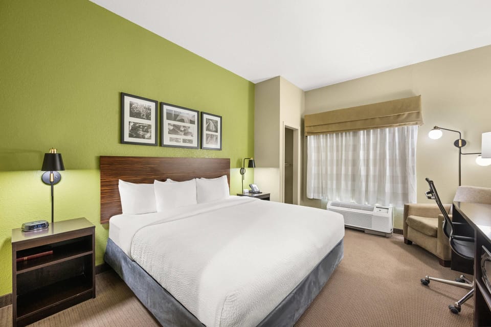 Room, 1 King Bed, Accessible, Non Smoking | Desk, iron/ironing board, cribs (surcharge), WiFi (free)