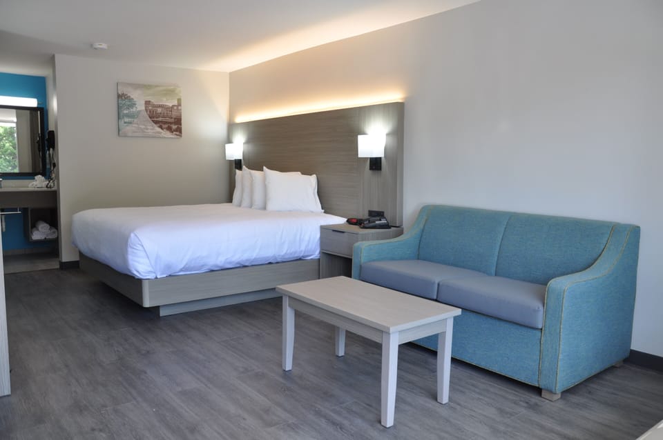Standard Room, 1 King Bed, Non Smoking | Pillowtop beds, blackout drapes, iron/ironing board, cribs (surcharge)