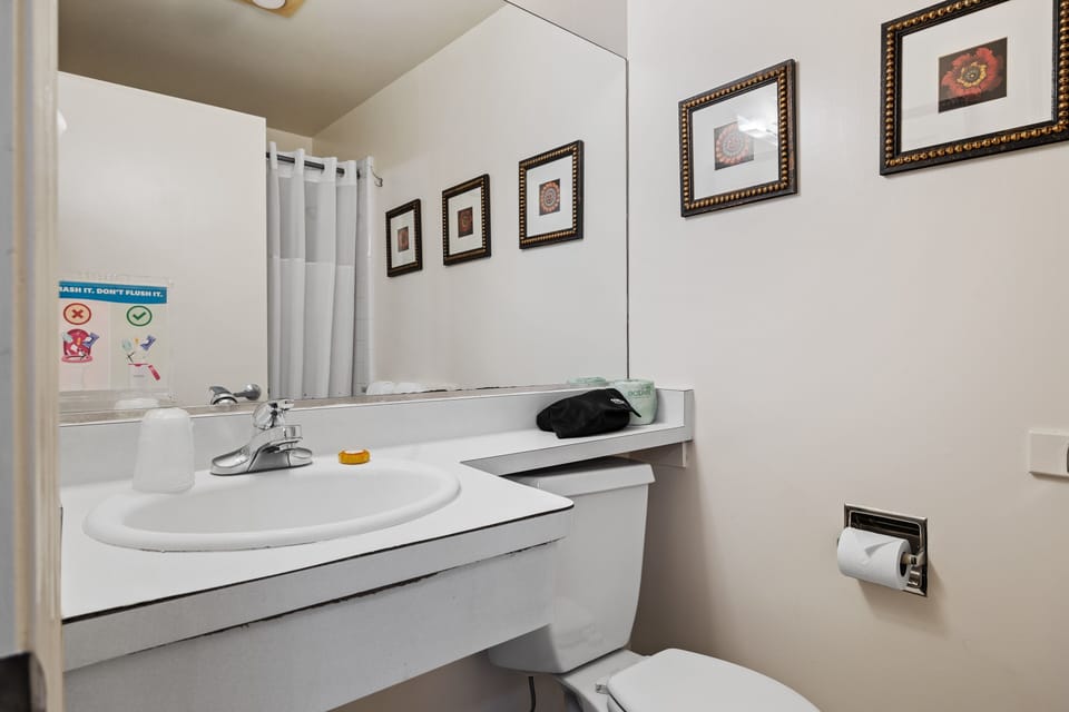 Luxury Room, 1 King Bed | Bathroom | Free toiletries, hair dryer, towels, soap