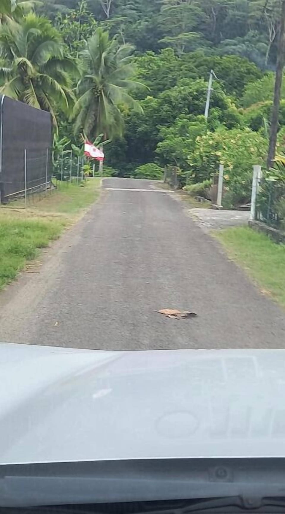 Navigating Paradise: A Deep Dive into the Polynesian Village Resort Map at Walt Disney World