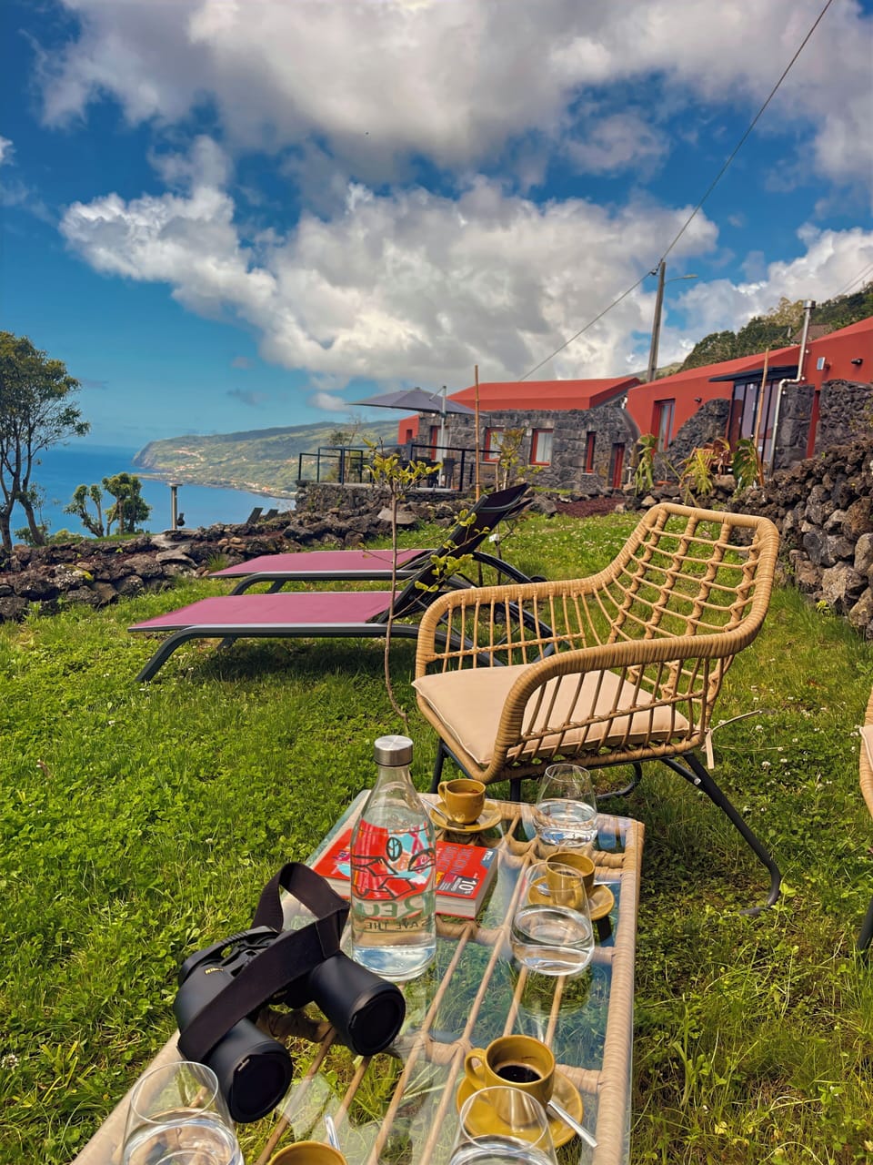 Picolo Mondo Mint and Honey - 47fe85 