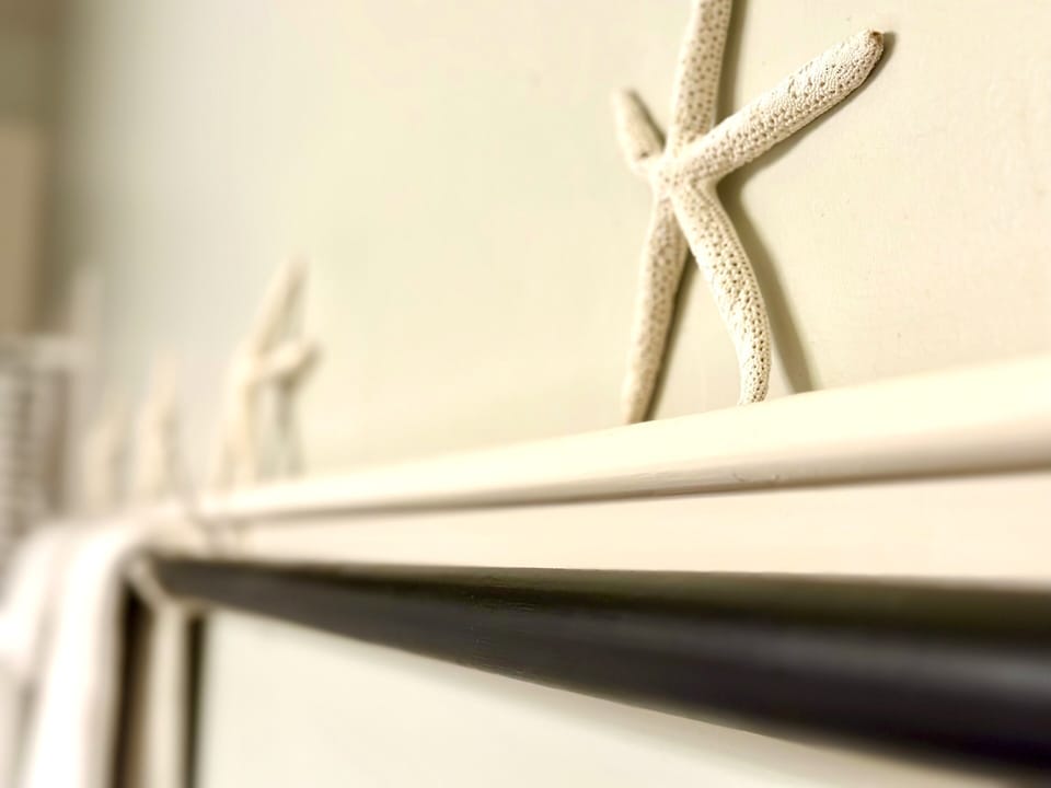 Primary bath special touchs - The coastal touch of starfish presiding over the primary bath is just beautiful.