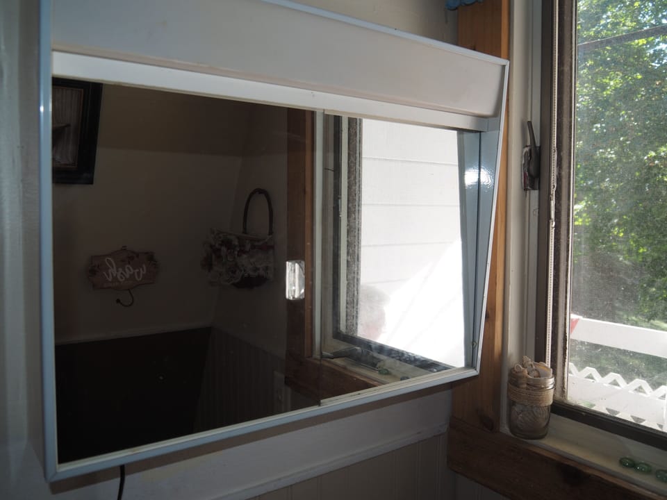 BATHROOM:  Small, but full bathroom, with entrance from the living room.  Includes sink, mirror, toilet, and shower.
